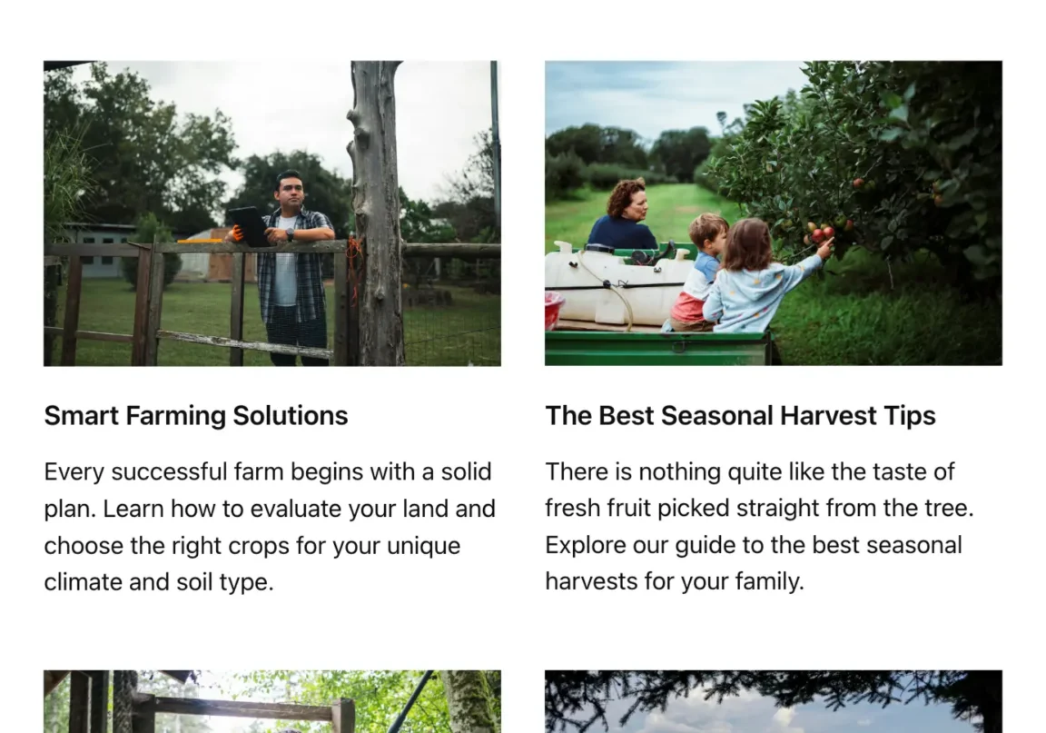 2×2 columns responsive grid layout with image and text content on tablet.