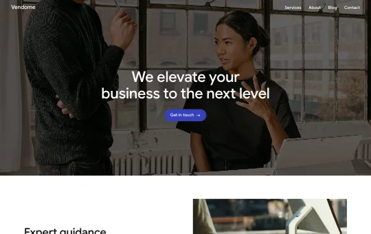 Site screenshot that previews Business 1 preset