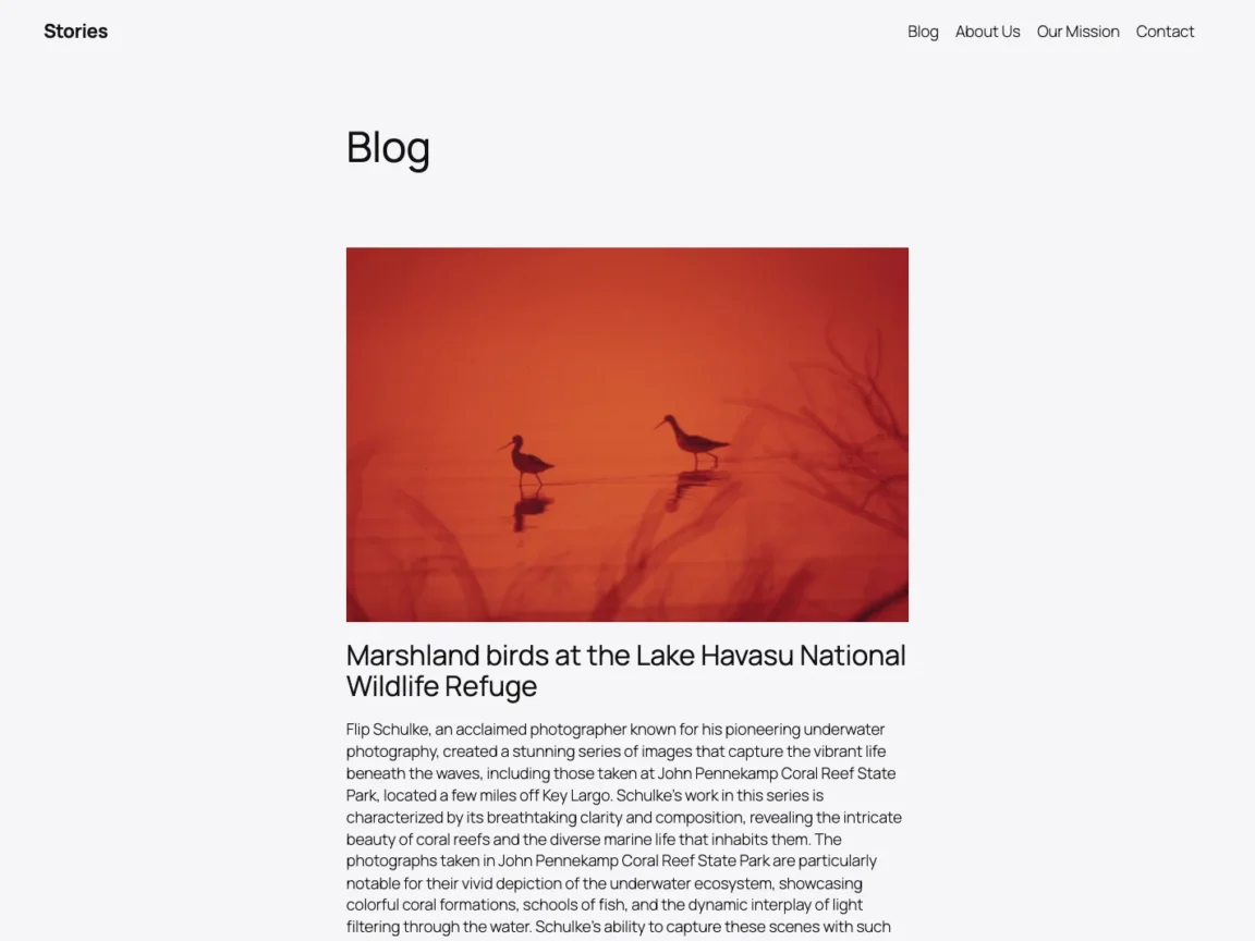 The official screenshot of Twenty Twenty-Five, the new WordPress default theme.